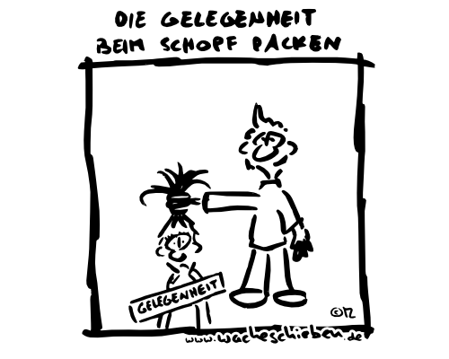 die Gelegenheit beim Schopf packen