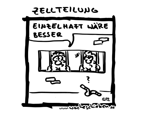 Zellteilung