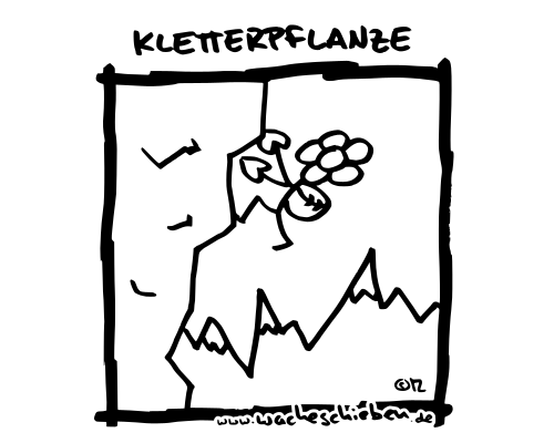 Kletterpflanze