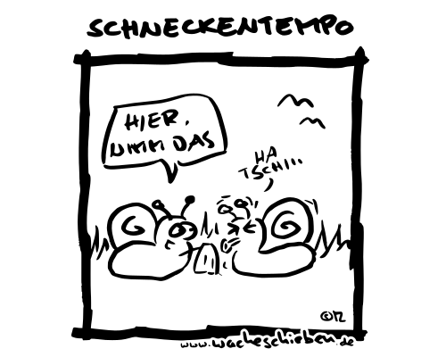 Schneckentempo