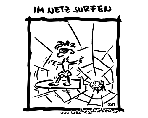 im Netz surfen