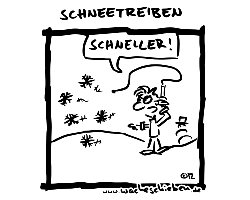 Schneetreiben