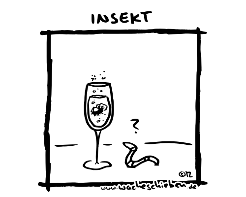 Insekt