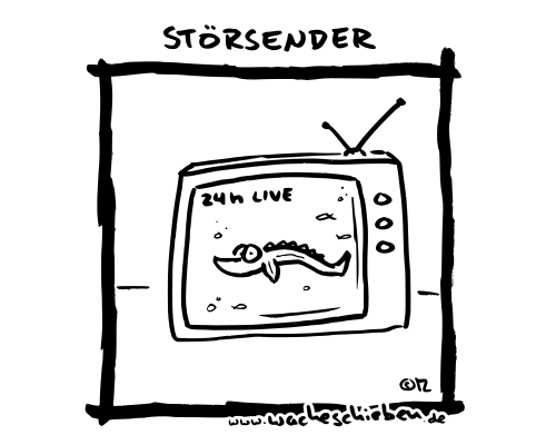 Störsender