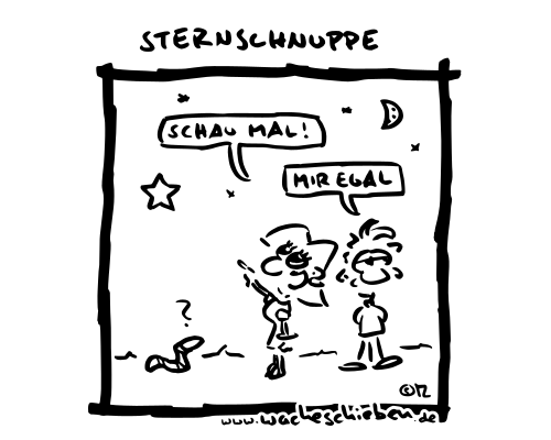 Sternschnuppe