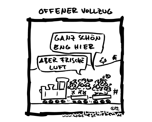 Offener Vollzug