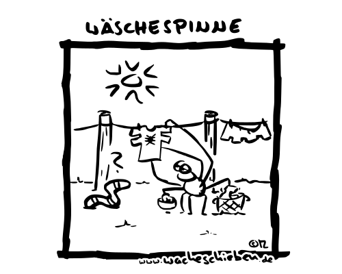 Wäschespinne