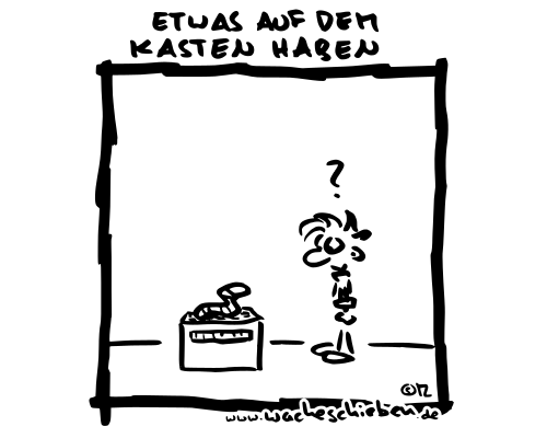 Etwas auf dem Kasten haben