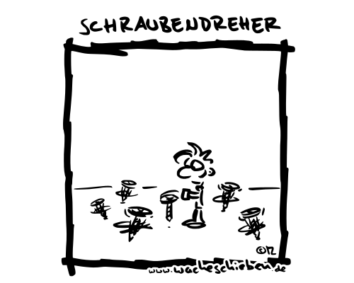 Schraubendreher