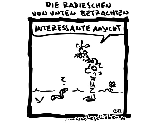 die Radieschen von unten betrachten