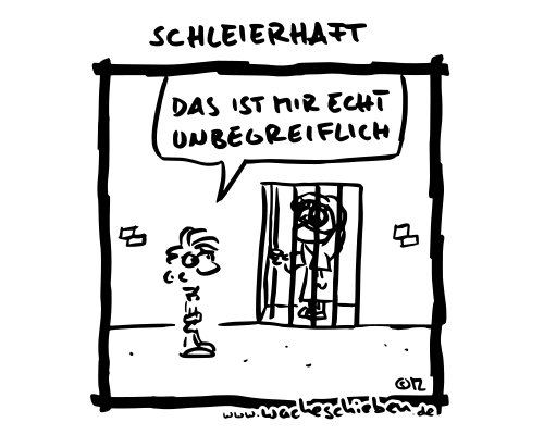 schleierhaft