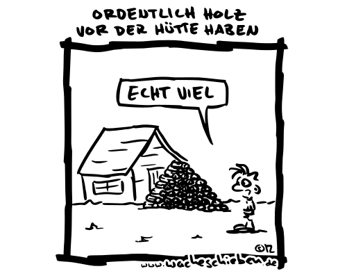 ordentlich Holz vor der Hütte haben