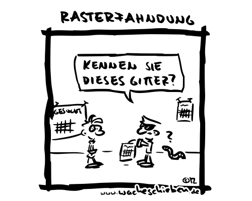 Rasterfahndung