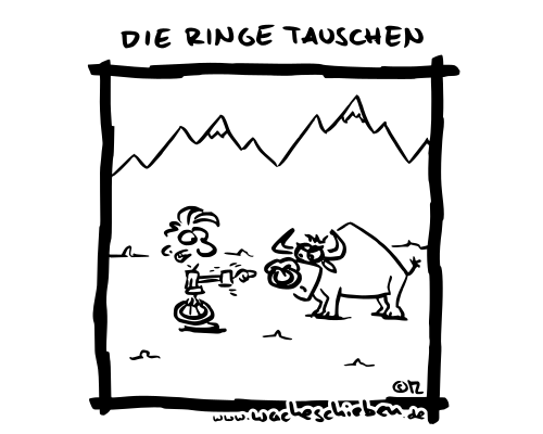 die Ringe tauschen