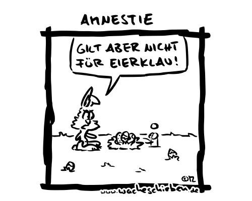 Amnestie
