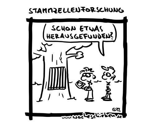 Stammzellenforschung